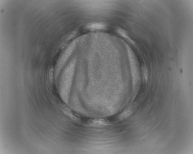 X0000071330475200607212011