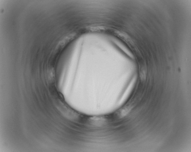 X0000071330477200607212012