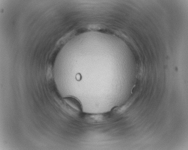 X0000071330478200607212012