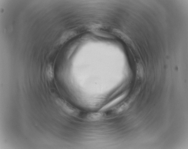 X0000071330479200607212012