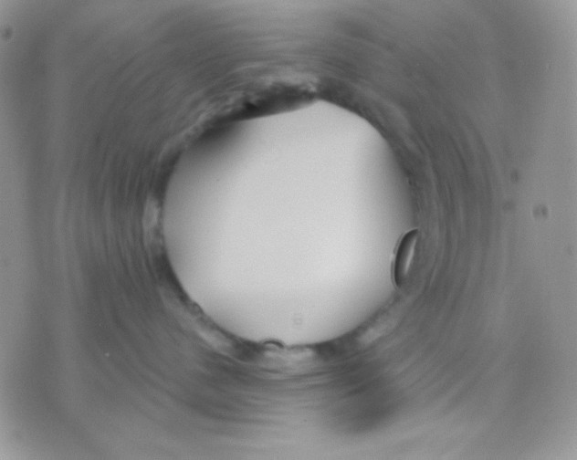 X0000071330480200607212012