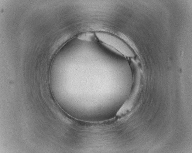 X0000071330481200607212011