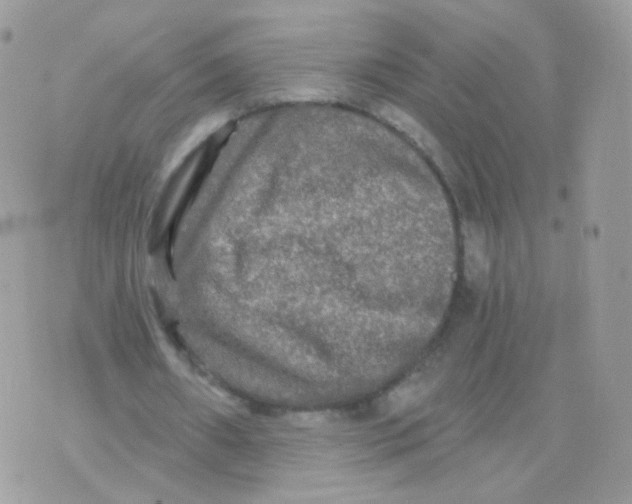 X0000071330482200607212011