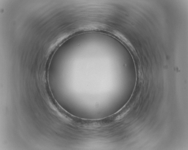 X0000071330485200607212011