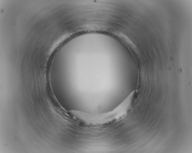 X0000071330488200607212011