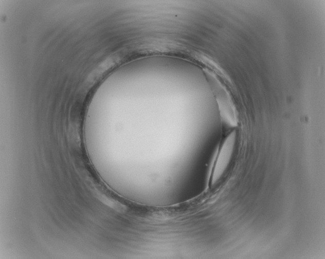 X0000071330489200607212011