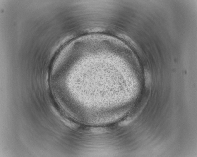 X0000071330490200607212011