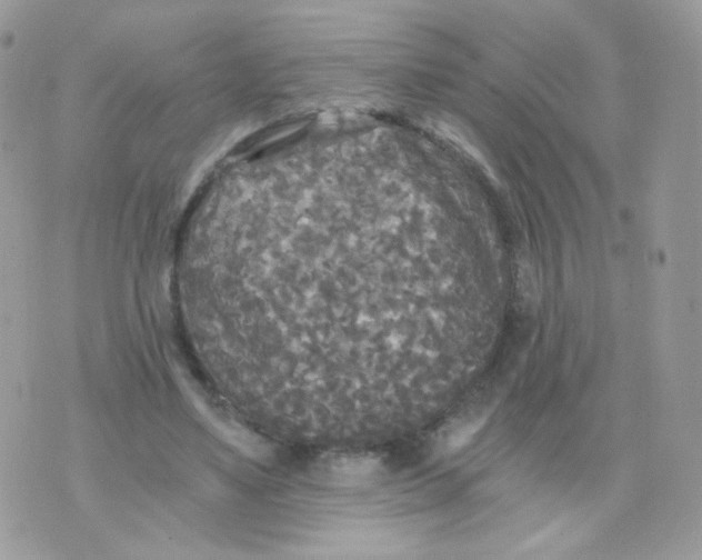 X0000071330491200607212011