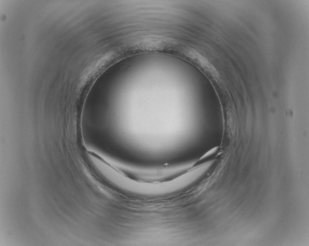 X0000071330493200607212011