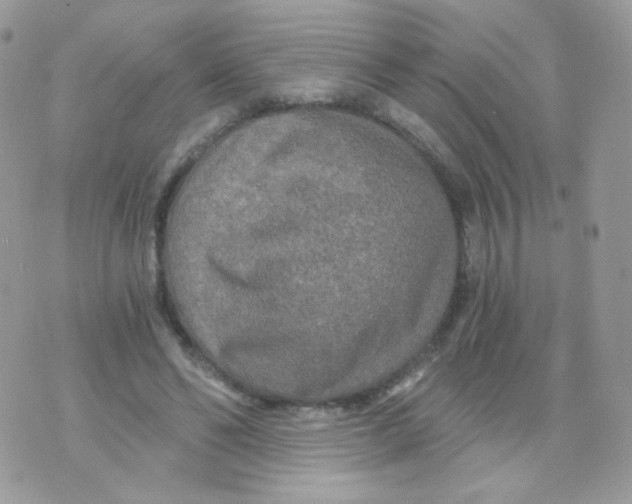 X0000071330494200607212011