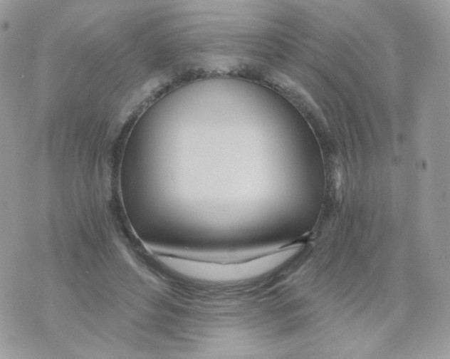 X0000071330496200607212011