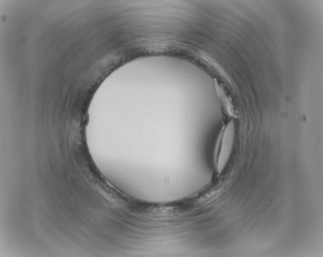 X0000071330497200607212011