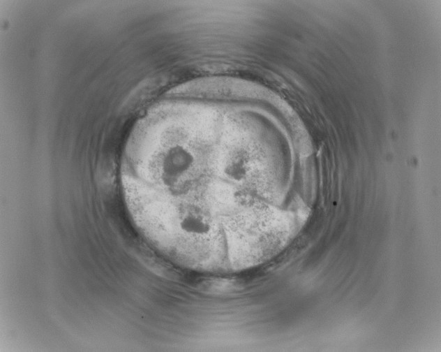 X0000071330507200607212010