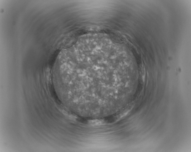 X0000071330511200607212010