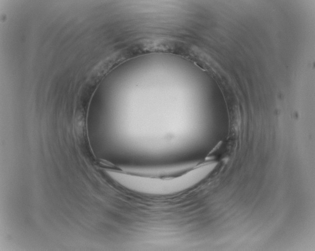 X0000071330513200607212010