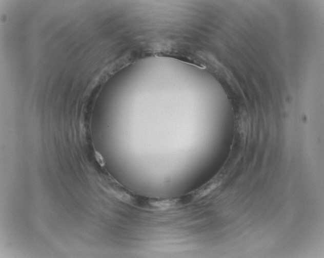 X0000071330516200607212010