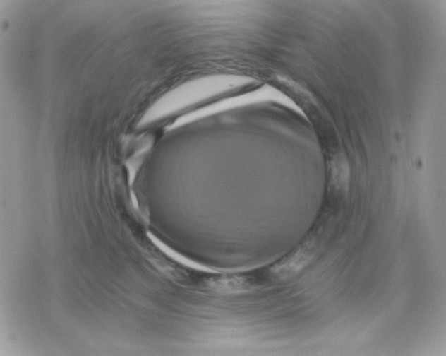 X0000071330517200607212010