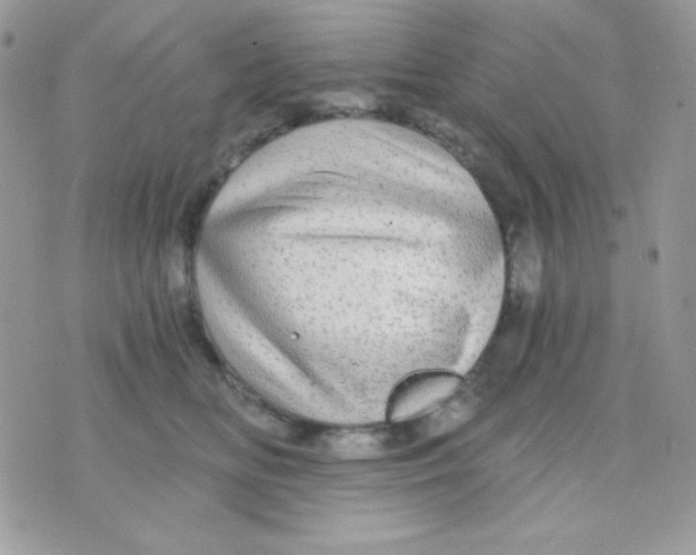 X0000071330518200607212010