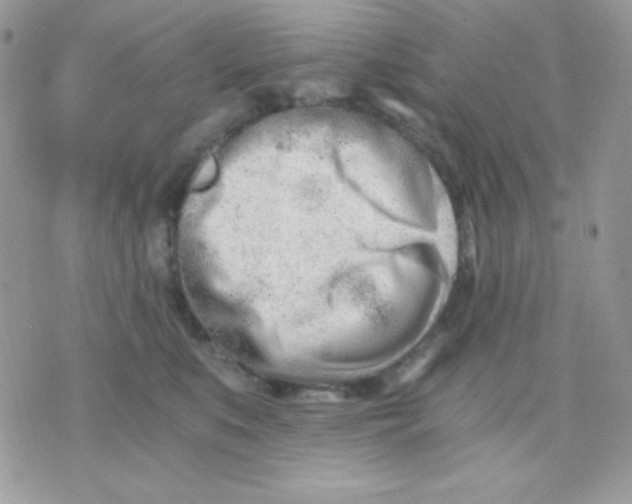 X0000071330519200607212010