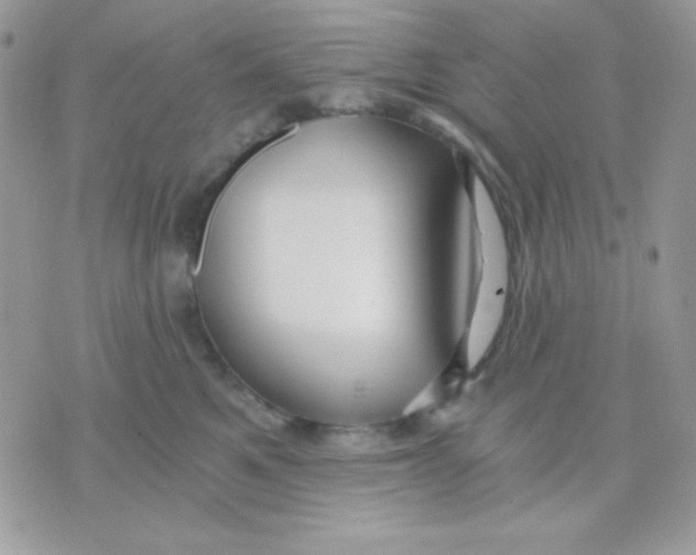 X0000071330521200607212010