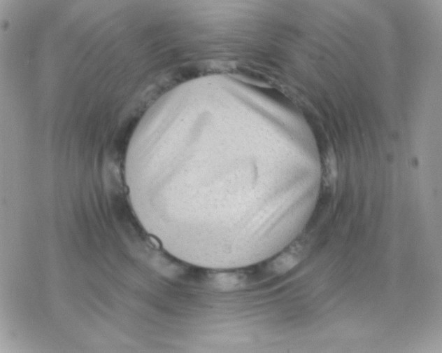 X0000071330522200607212010