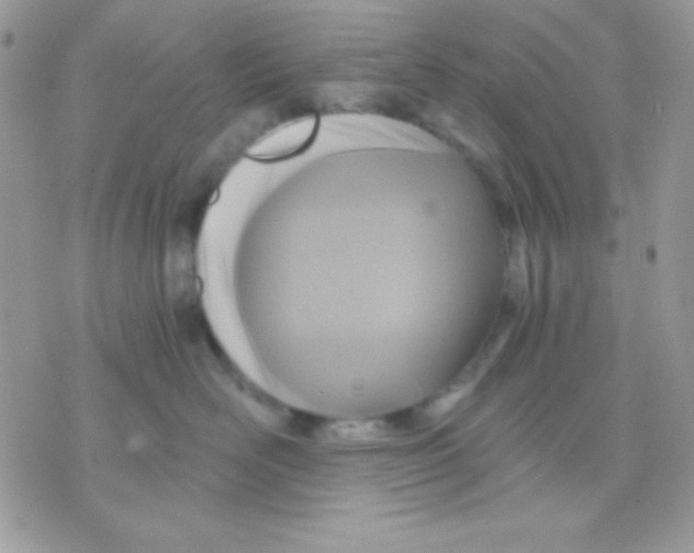 X0000071330526200607212010