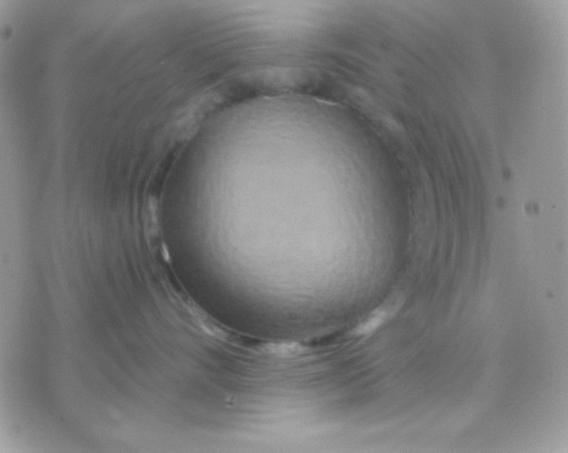 X0000071330528200607212010