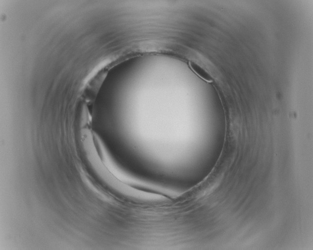 X0000071330530200607212009