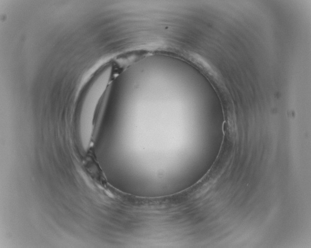 X0000071330532200607212009