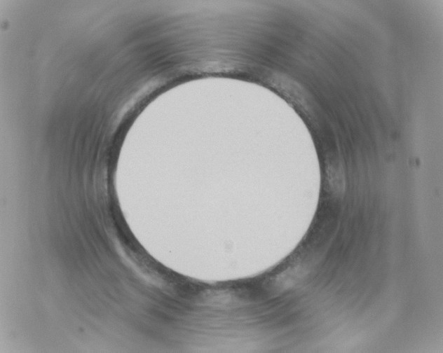 X0000071330534200607212009