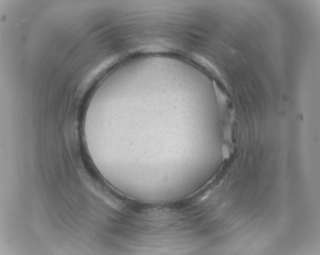 X0000071330535200607212009