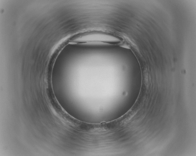 X0000071330536200607212009