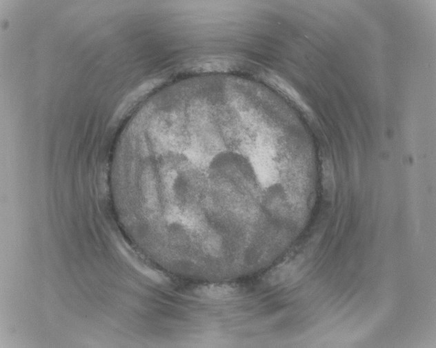 X0000071330537200607212009