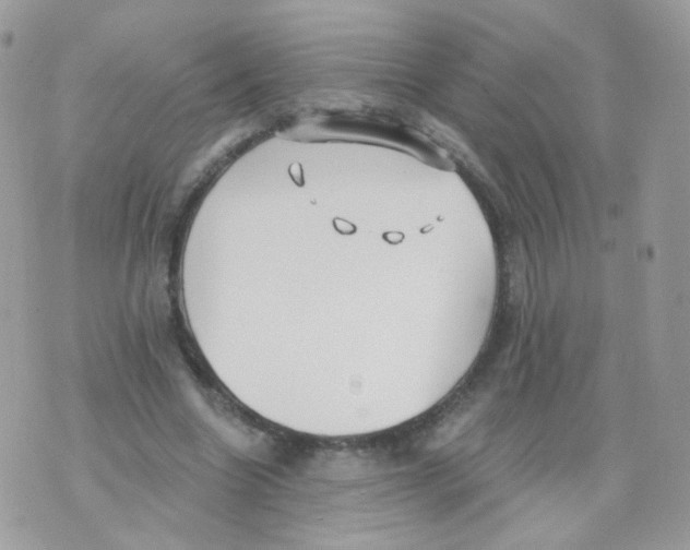 X0000071330538200607212009