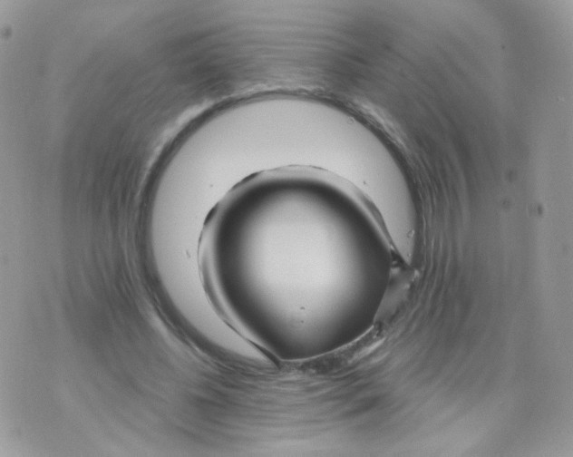 X0000071330540200607212009