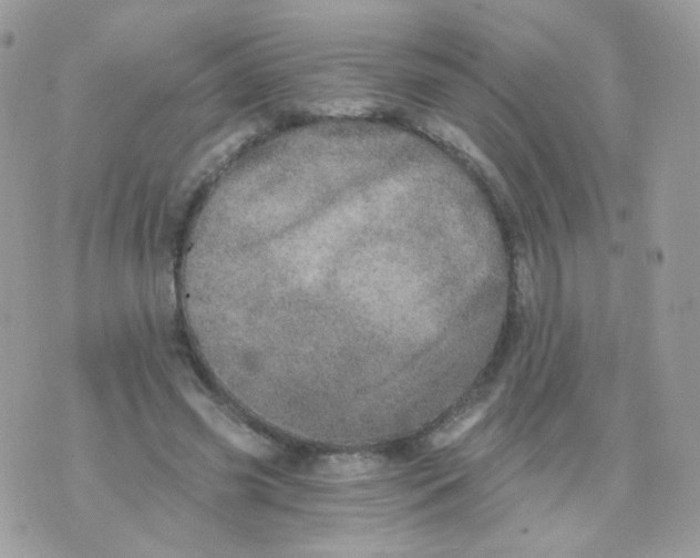 X0000071330541200607212009