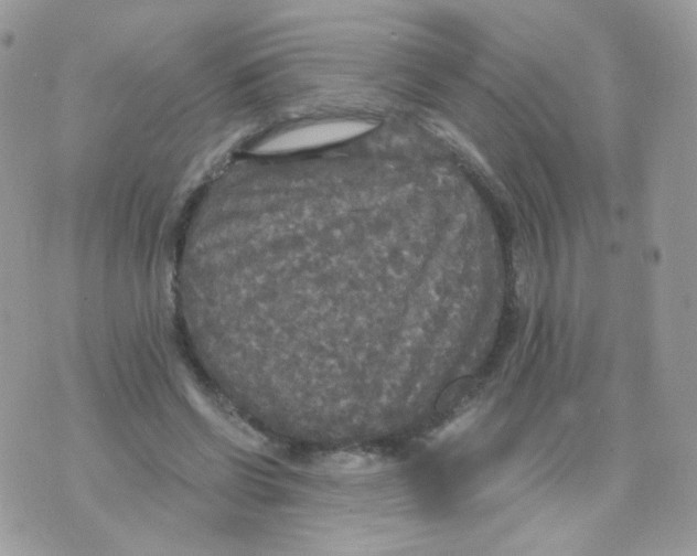 X0000071330542200607212009