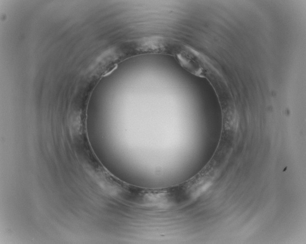 X0000071330560200607212010