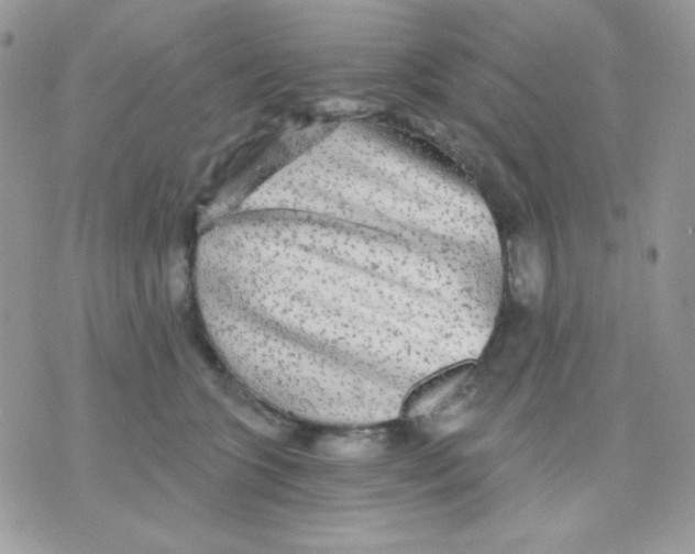 X0000071330563200607212010