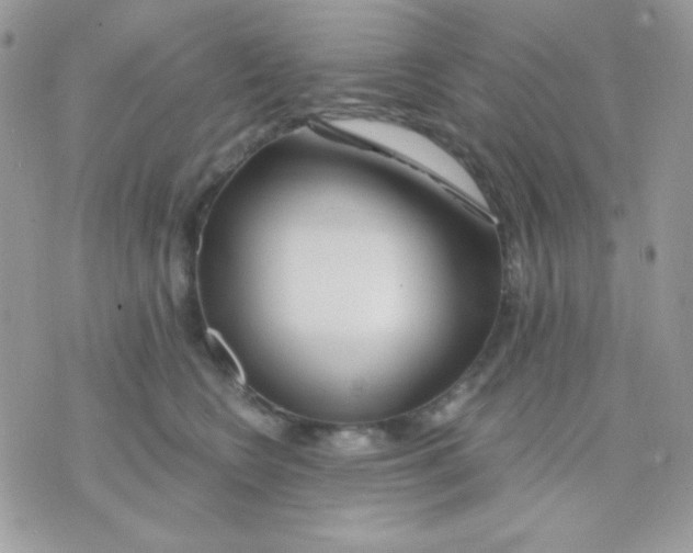 X0000071330566200607212010