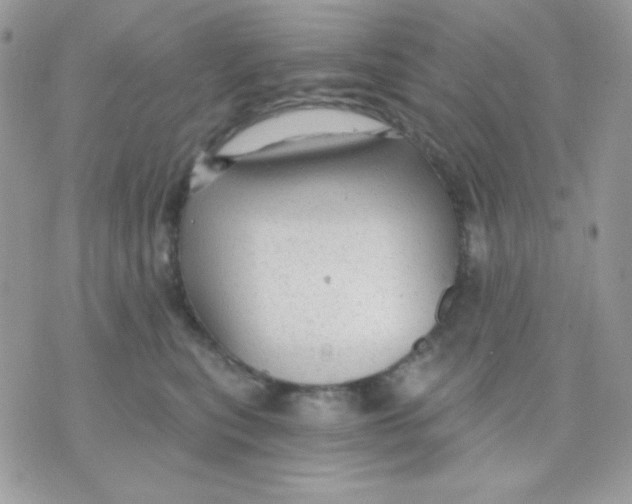 X0000071330567200607212010