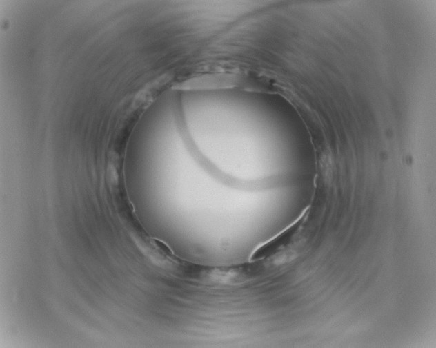 X0000071330570200607212010