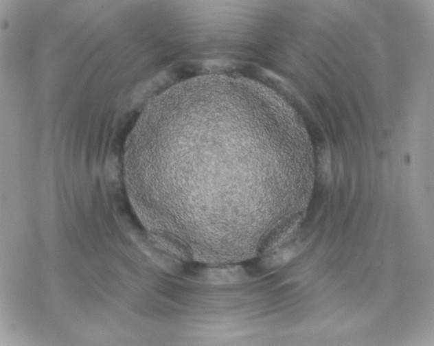 X0000071330571200607212010