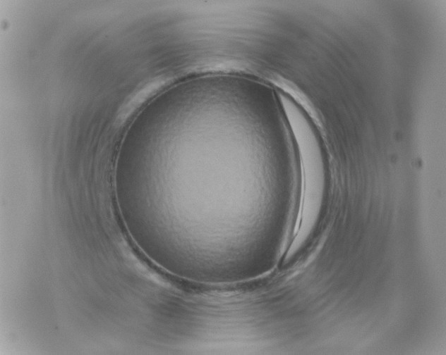 X0000071330577200607212009