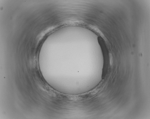 X0000071330579200607212009