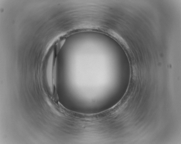 X0000071330580200607212009