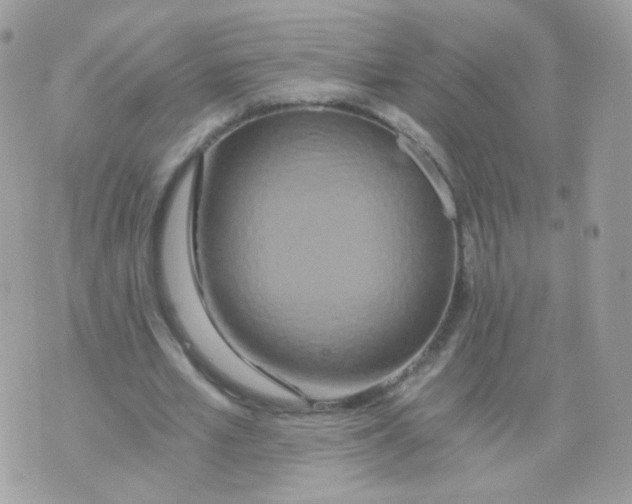 X0000071330581200607212009