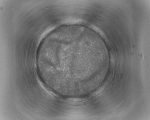 X0000071330582200607212009