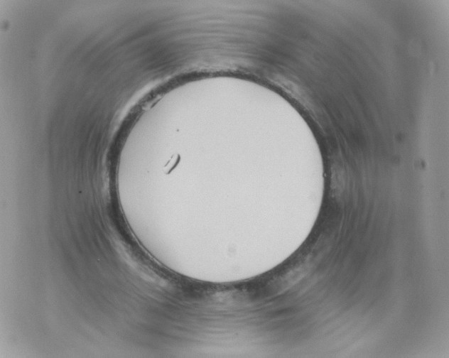 X0000071330584200607212009