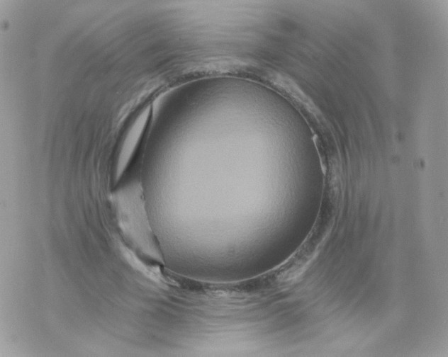 X0000071330585200607212009